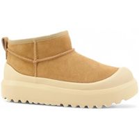 colors of california botines hchoody01-ai26-tan para mujer