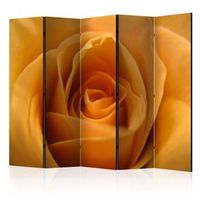 biombo - yellow rose r a symbol of friendship ii 225x172 cm