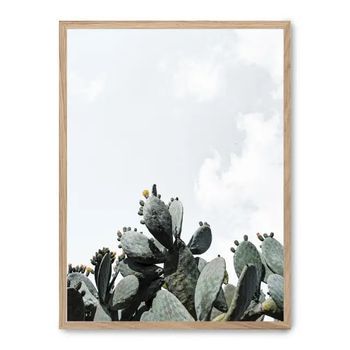 Cuadro Cactus