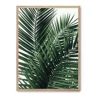 cuadro palm leaves