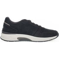 pius gabor deportivas moda 80011302 para hombre