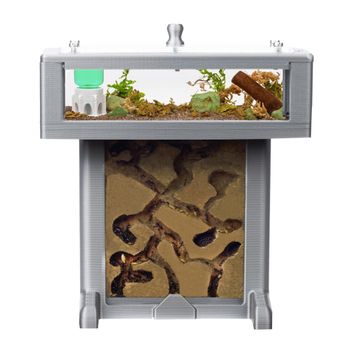 Anthouse.es - Kit Hormiguero de Espuma en Forma de T 3D - Hormiguero con Hormigas Vivas Incluidas - 14x8x14cms - Color Gris