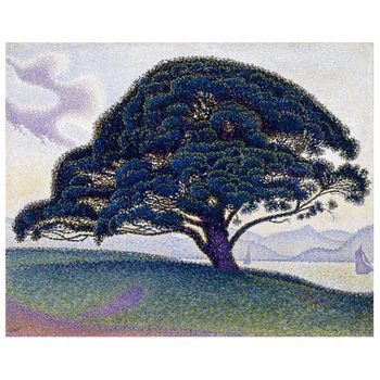 Legendarte - Cuadro Lienzo, Impresión Digital - El Pino Bonaventura - Paul Signac - Decoración Pared Cm. 80x100