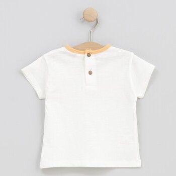 cotton fish Camiseta 90618-CHILD para niño