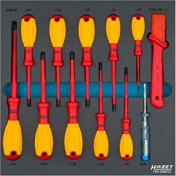 Hazet 163-546/12 Juego De Destornilladores ∙ Con Aislamiento De Protección ∙ Perfil Phillips (ph), Perfil Torx Interior, Perfil De Ranura ∙ 0,4 X 2,5