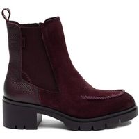 hispanitas botines hi265100 para mujer
