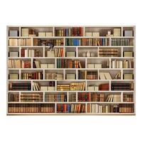 papel pintado 3d - biblioteca casera 400x280 cm