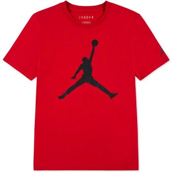 Nike Polo TE-S/S TEE para hombre