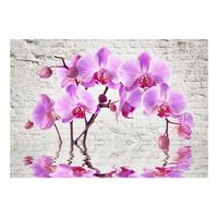 papel pintado 3d - purple delight 350x245 cm