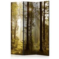 biombo - forest morning sunlight 135x172 cm