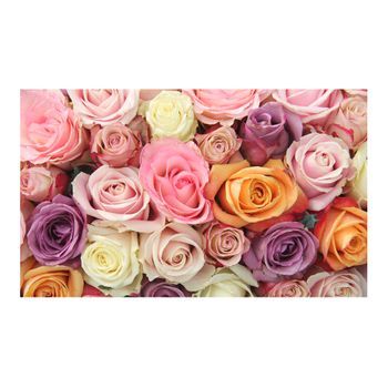 Papel Pintado 3d - Colores Rosa Pastel (450x270 Cm)
