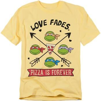 Teenage Mutant Ninja Turtles Camiseta Pizza Is Forever para hombre