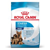 royal canin maxi starter mother  babydog - 15kg