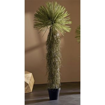 Arbol Yucca Rostrata Tacto Real 175 Cms. 70x70x175 Cms