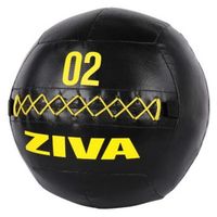 wall ball ziva 12 kg