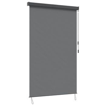 Estor Enrollable Gris Claro 60 X 250 Cm Tela Y Aluminio Vidaxl