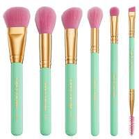 spectrum travel books miami 6 piece makeup brush set