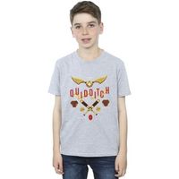 harry potter tops y camisetas quidditch golden snitch para nino