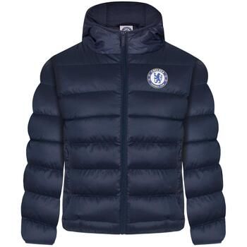 Chelsea Fc Chaqueta GF282 para niño