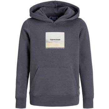 Jack & Jones Jersey 12267454 JORVESTERBRO NEWTON BOXFRONTSWEAT BF JNR IRON GATE para niño