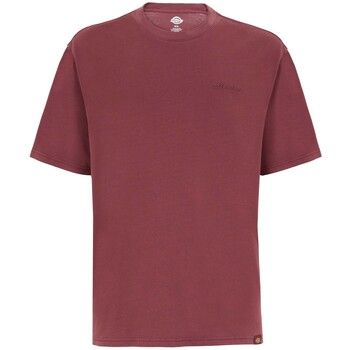 Dickies Camiseta Plentywood Ss Tee para hombre