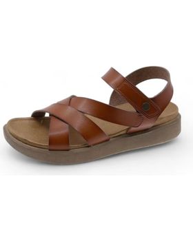 de BEPPI 2204370 CAMEL