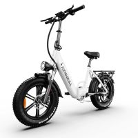 eu direct kingbull literider 20 bicicleta electrica 48v 135ah bateria 500w motor velocidad maxima recomendada 25 km