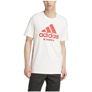 adidas Camiseta T-shirt Benfica Seasonal Graphic 100% coton para hombre