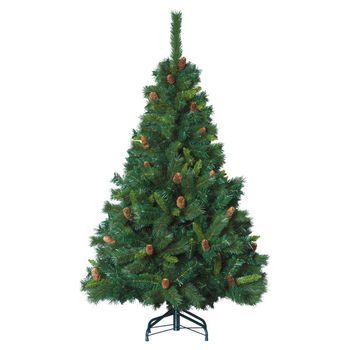 Abeto Real Majestuoso 240cm
