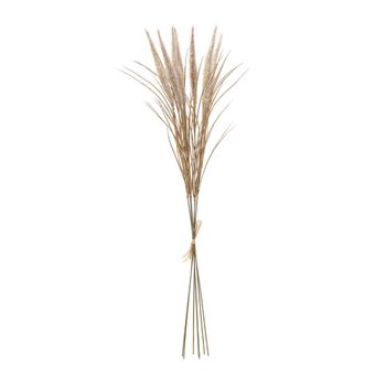 Ramo de pampa 7 tallos artificial beige h80
