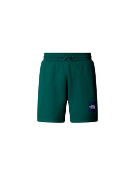 Pantalones de Montaña The north Face Box Nse Regular Green Hombre