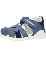 de biomecanics 242255-b petrol