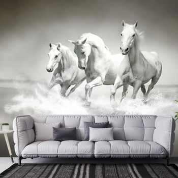 Papel pintado caballos blancos al galope  364x270cm