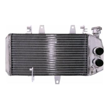 Refrigerador motor BMW F 800 agua