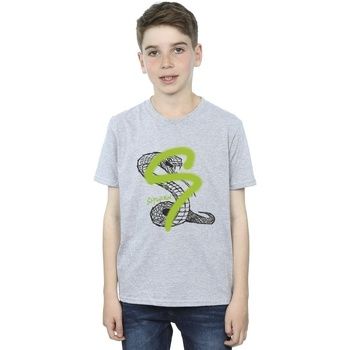 Harry Potter Tops y Camisetas Slytherin para niño
