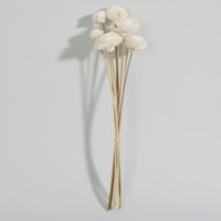 ramo de flores secas beiges