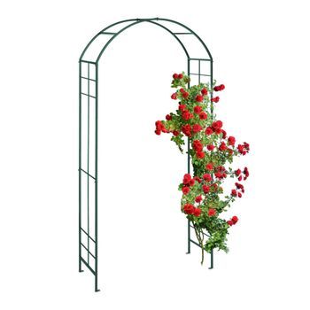 Lazo De Roseta En Metal - Dark Green - 10.5x112x44.4cm