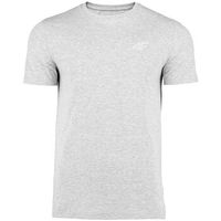 4f camiseta 4fss23ttshm536chodnyjasnyszarymelan para hombre