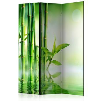 Biombo - Green Bamboo (135x172 Cm)
