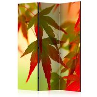 biombo - colourful leaves 135x172 cm