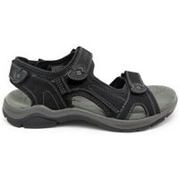 westland sandalias sandalia 74r5041001 piel negra para hombre