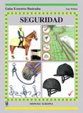 gei seguridad