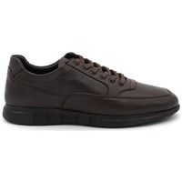 antonello deportivas moda 1002 para mujer