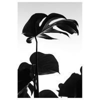 cuadro - hojas grandes cm 60x90