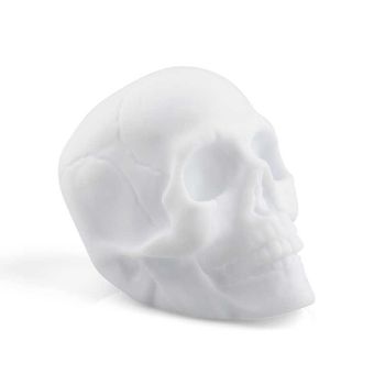Colour Change Skull Light