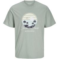 jack  jones polo 12276250 jjpalm tee ss crew neck mni iceberg green para hombre
