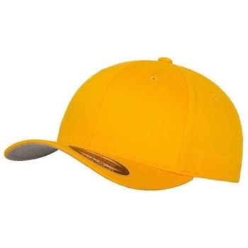 Flexfit Gorra PC4861 para hombre