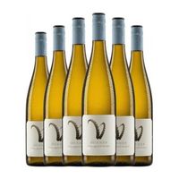 weingut horner vino blanco pfalz 75 cl 12 vol pack de 6 unidades