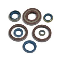 kit reten motor husqvarna wr 250 99- athena