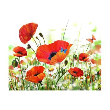Papel Pintado 3d - Country Poppies (350x270 Cm)